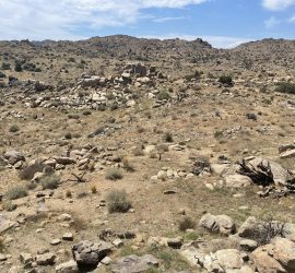 Geology Geo Forward