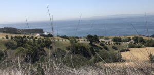 Los Angeles Environmental Engineering - Photo by MJS Geo Forward