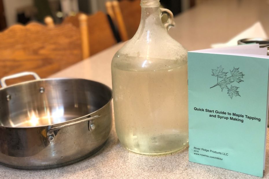 Maple Tree Tapping and Syrup Making
