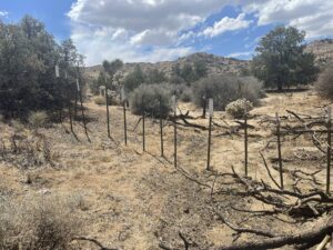The Salton Sea Fishery Decline - Photo by Geo Forward