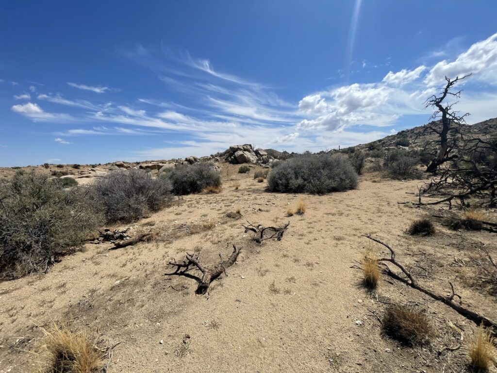 The Salton Sea Post - Photo by Geo Forward