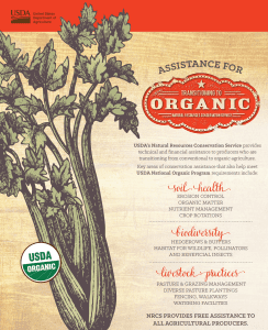 Organic Transition Assistance, - Photo from USDA.gov