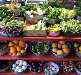 Why Sustainable Agriculture and Farming is Important